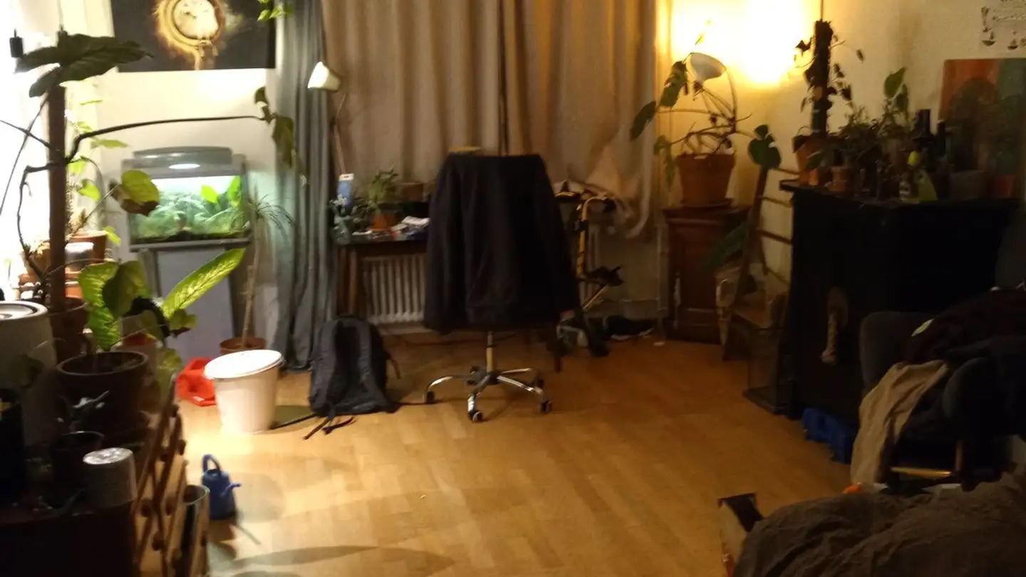 Zimmer mieten - Eichbühlstrasse 62, 8004 Zürich