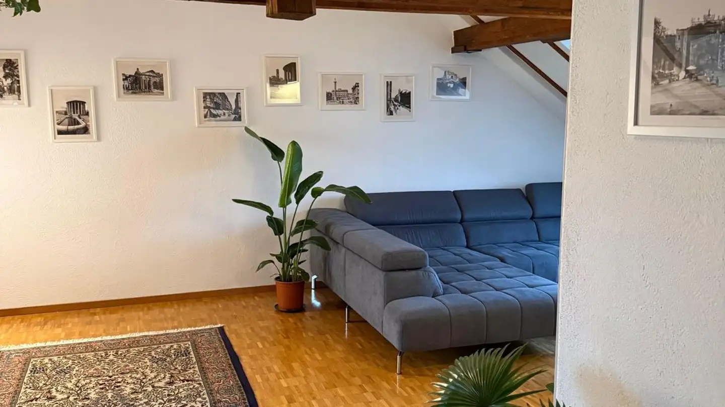 Single room for rent - Albisriederstrasse 106, 8003 Zürich - Photo 4