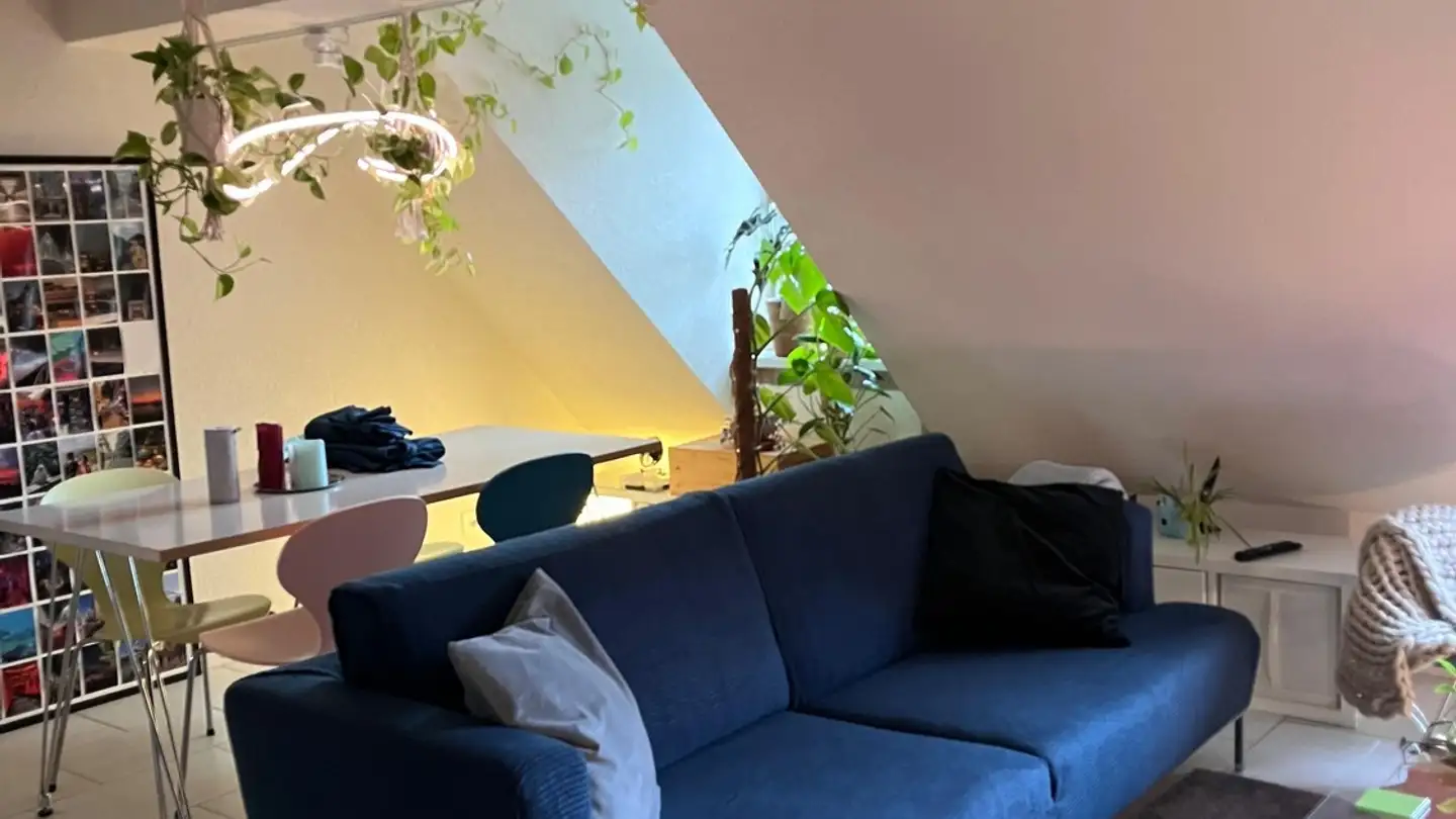 Appartement à louer - Multergasse, 9000 St. Gallen - Photo 2