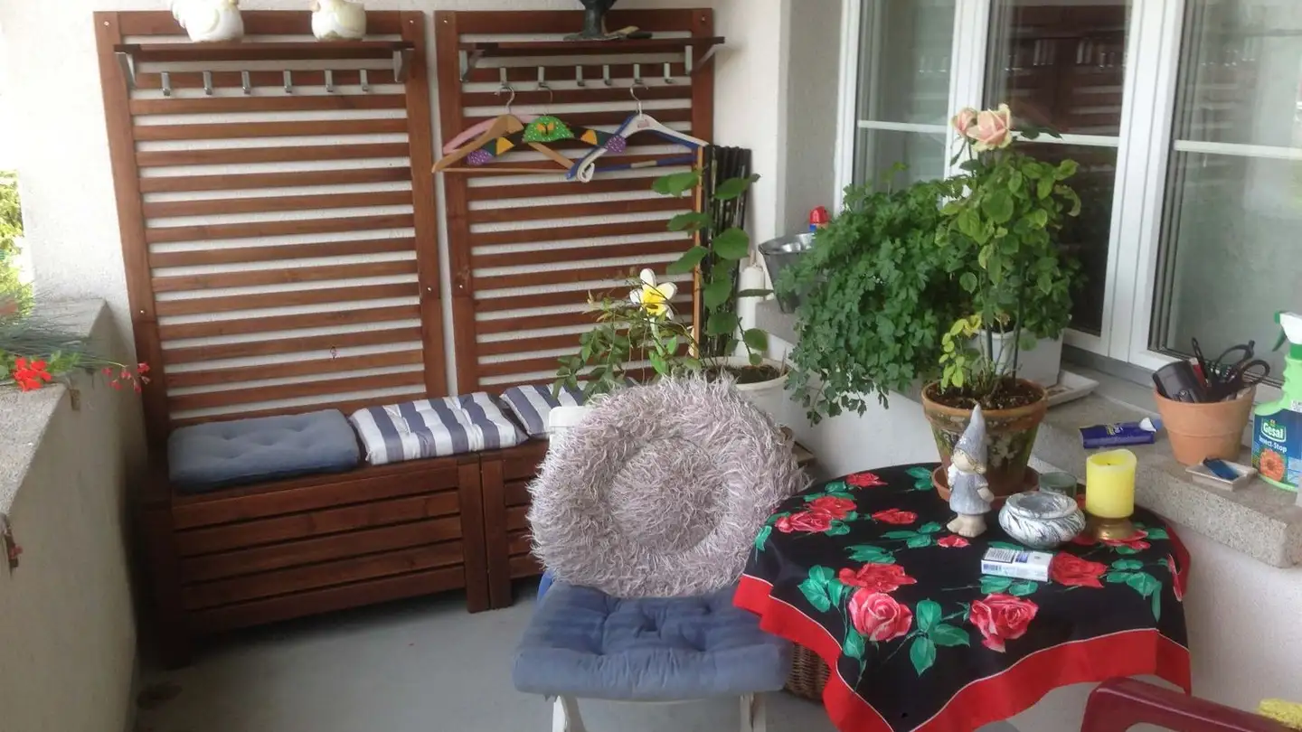 Single room for rent - 5621 Zufikon - Photo 3