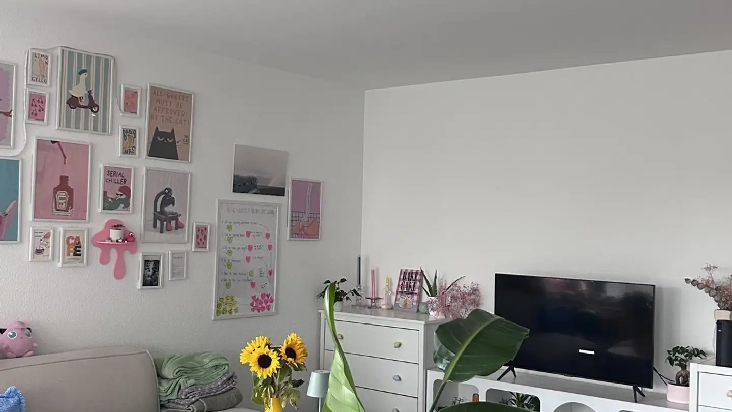 Single room for rent - 8604 Volketswil