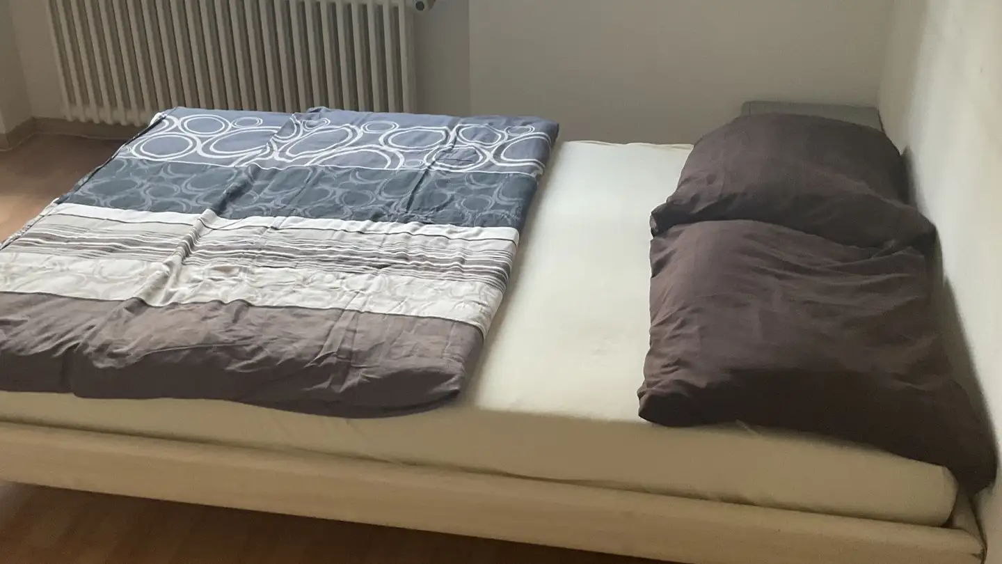 Single room for rent - Greifenseestrasse 19, 8050 Zürich