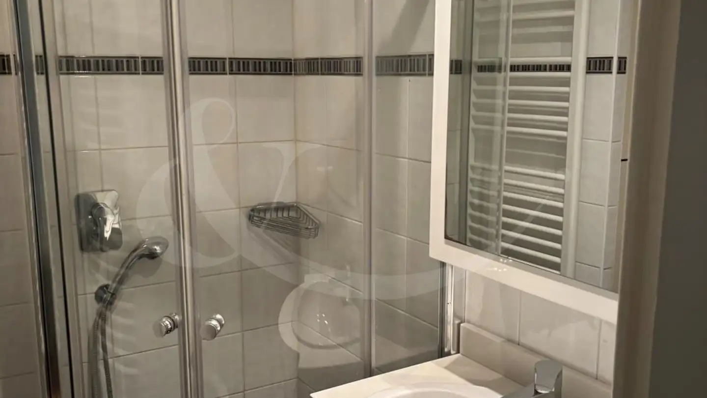 Apartment for rent - Rue Ancienne 27, 1227 Carouge GE - Photo 3