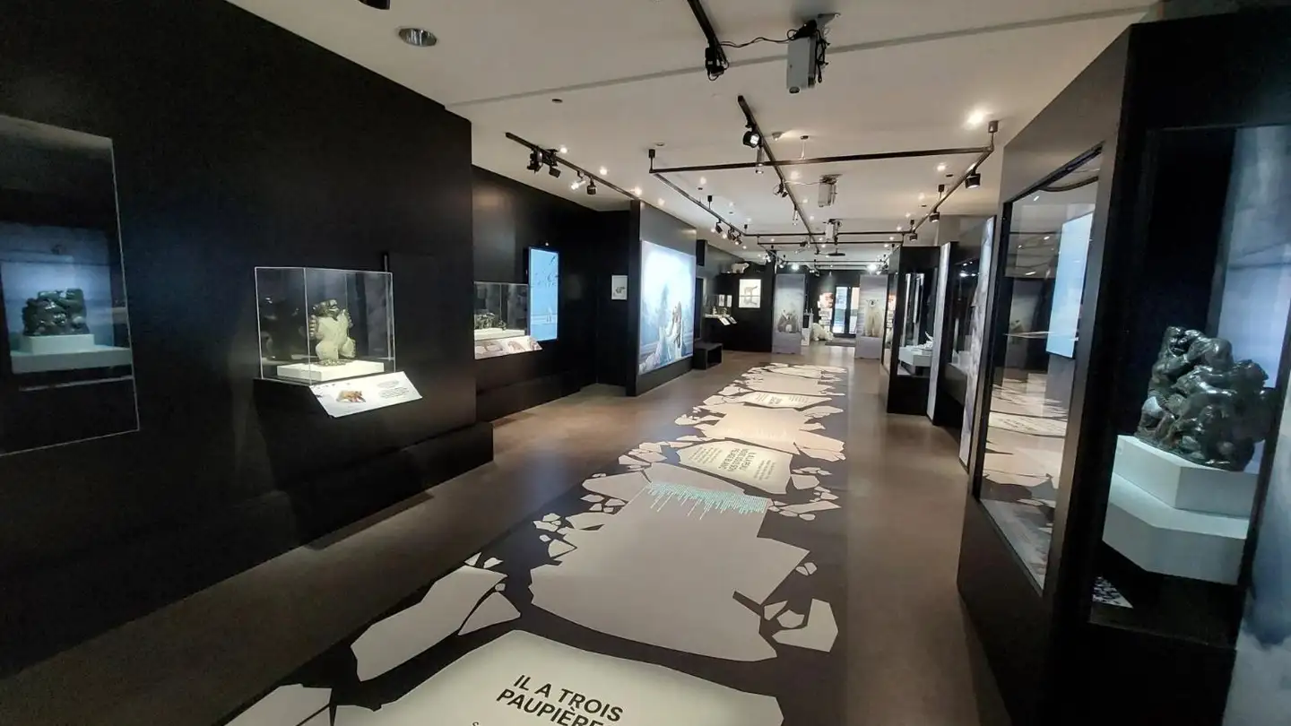 Commerciale in vendita - 3963 Crans-Montana - Foto 4