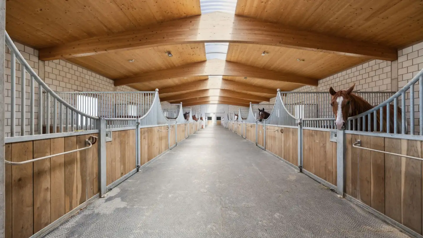 Casa singola in vendita - Güschel, 3380 Walliswil b. Niederbipp - Photo 4