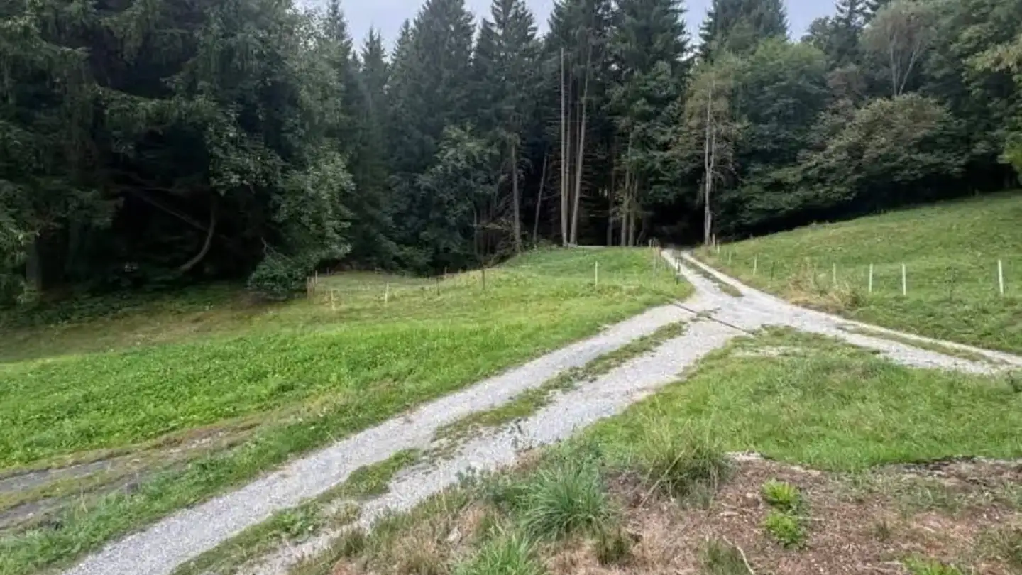 Constructible plot for sale - 3975 Randogne