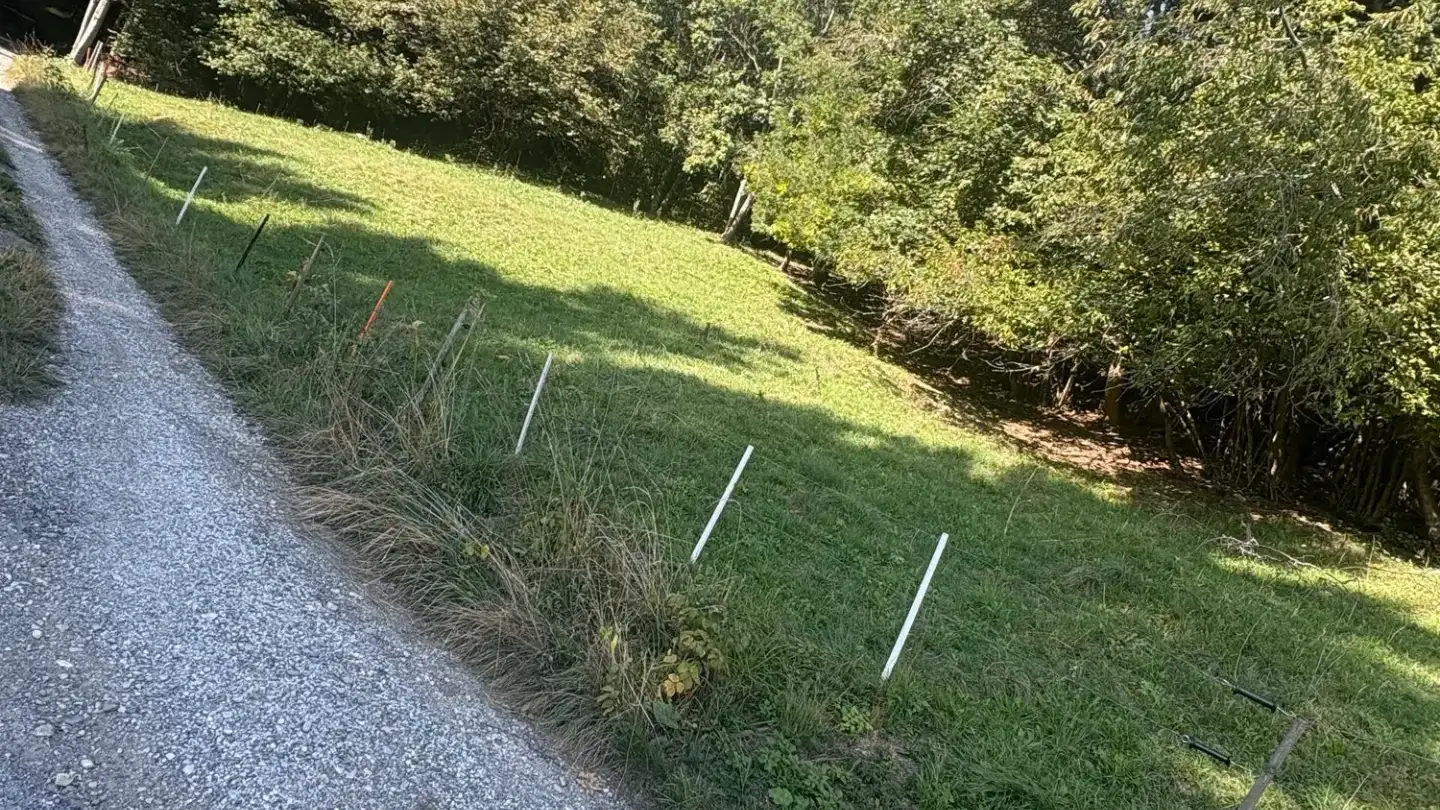 Constructible plot for sale - 3975 Randogne - Photo 2