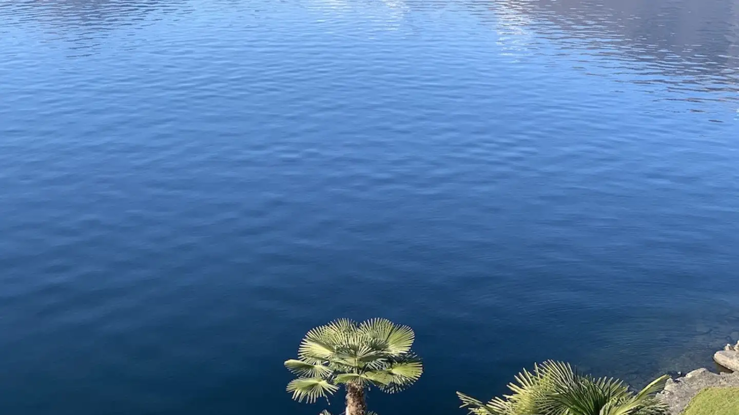 Appartamento in affitto - 6576 Gerra (Gambarogno) - Photo 3