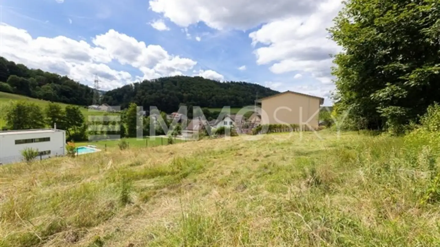 Property for sale - 4208 Nunningen - Photo 2