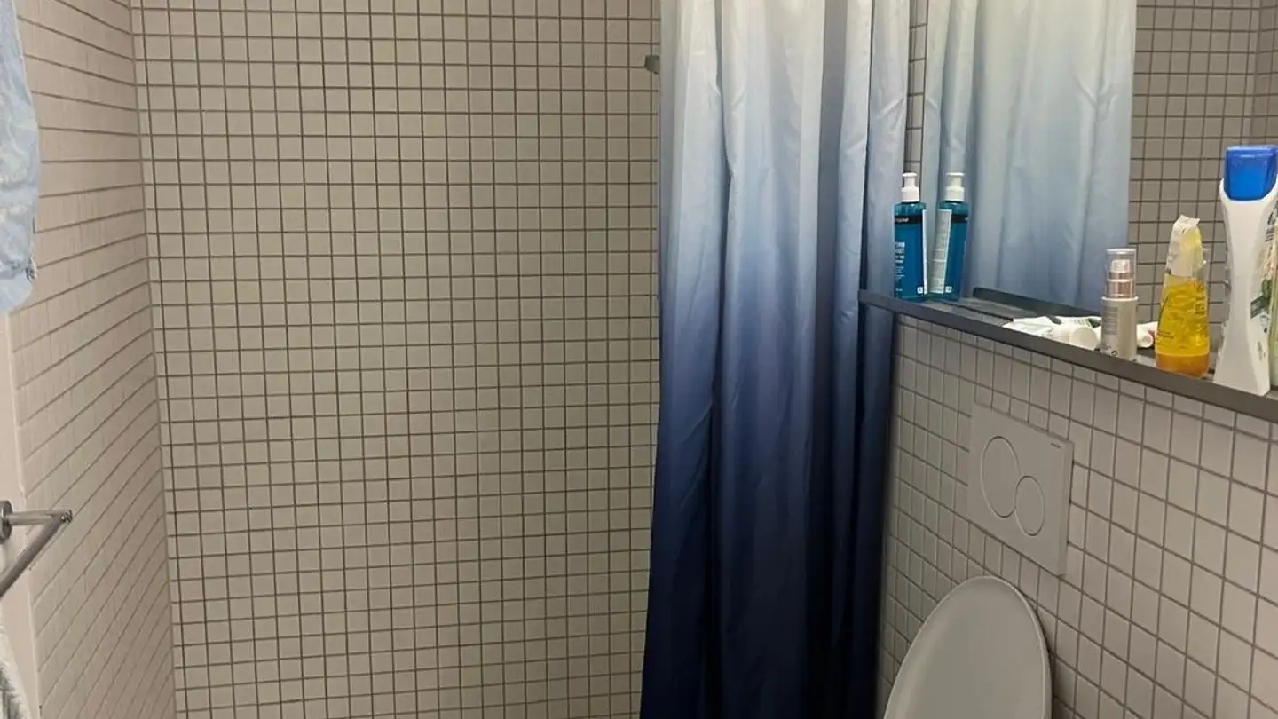 Single room for rent - Bahnhaldenstrasse 9, 8052 Zürich - Photo 3