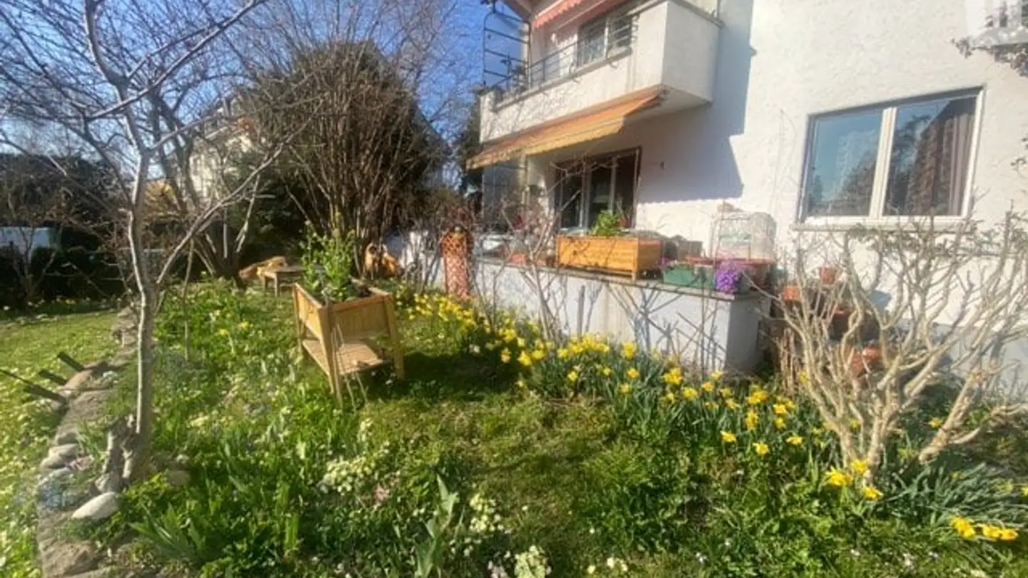 Einfamilienhaus mieten - 3006 Bern