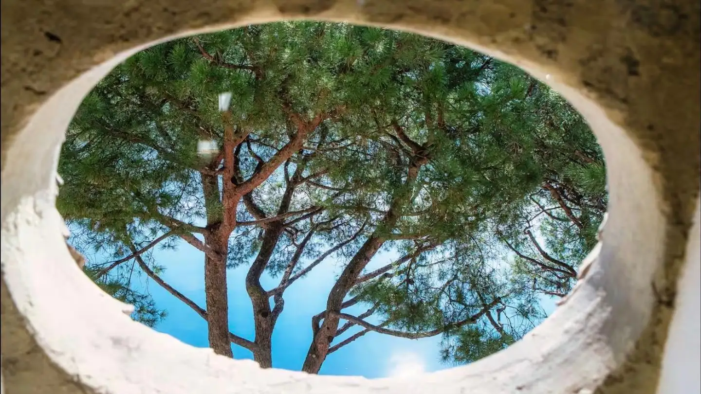 Duplex à louer - 6922 Morcote