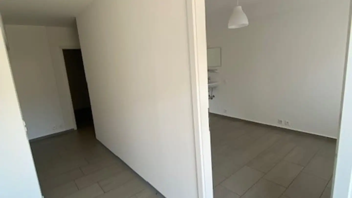 Industrieimmobilie mieten - Via Cassinelle 6, 6982 Agno - Foto 2