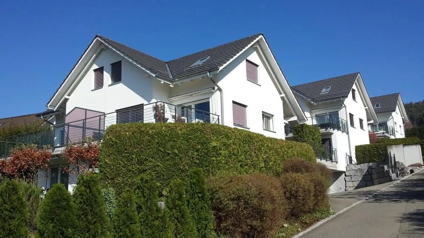 Duplex à louer - Widenbüelstrasse 17, 8103 Unterengstringen