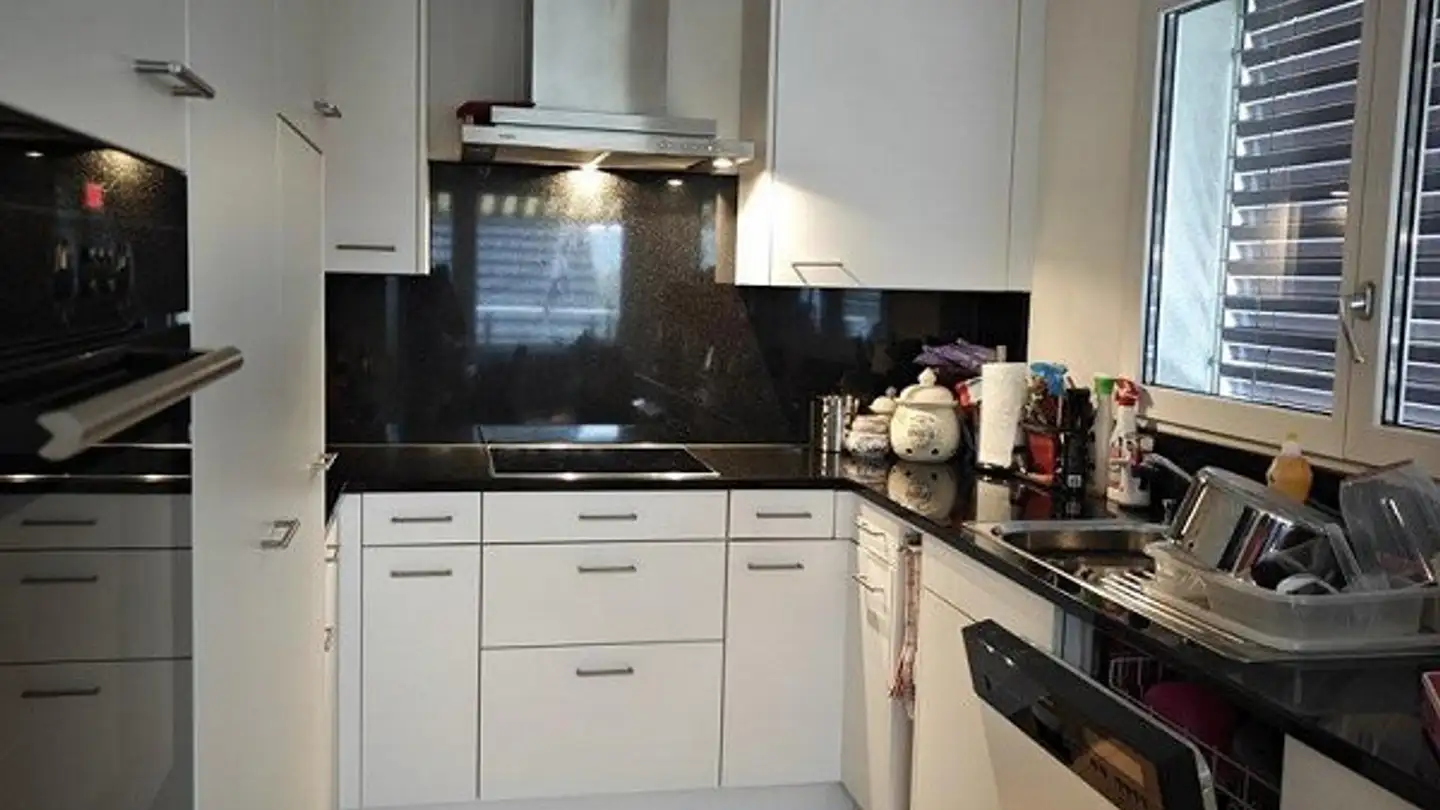 Duplex à louer - Widenbüelstrasse 17, 8103 Unterengstringen - Photo 3