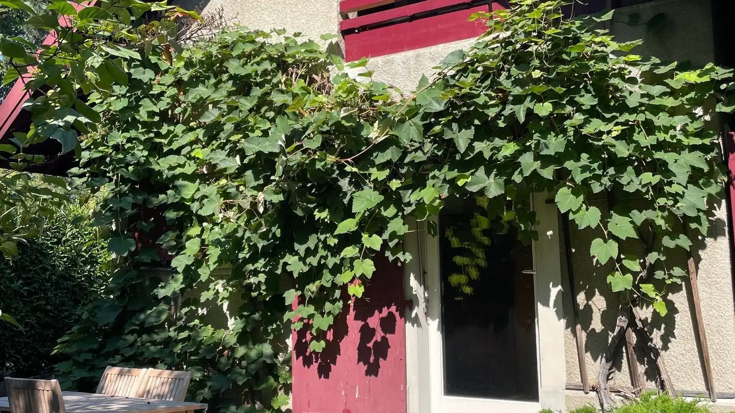 Maison individuelle à louer - 1025 St-Sulpice VD