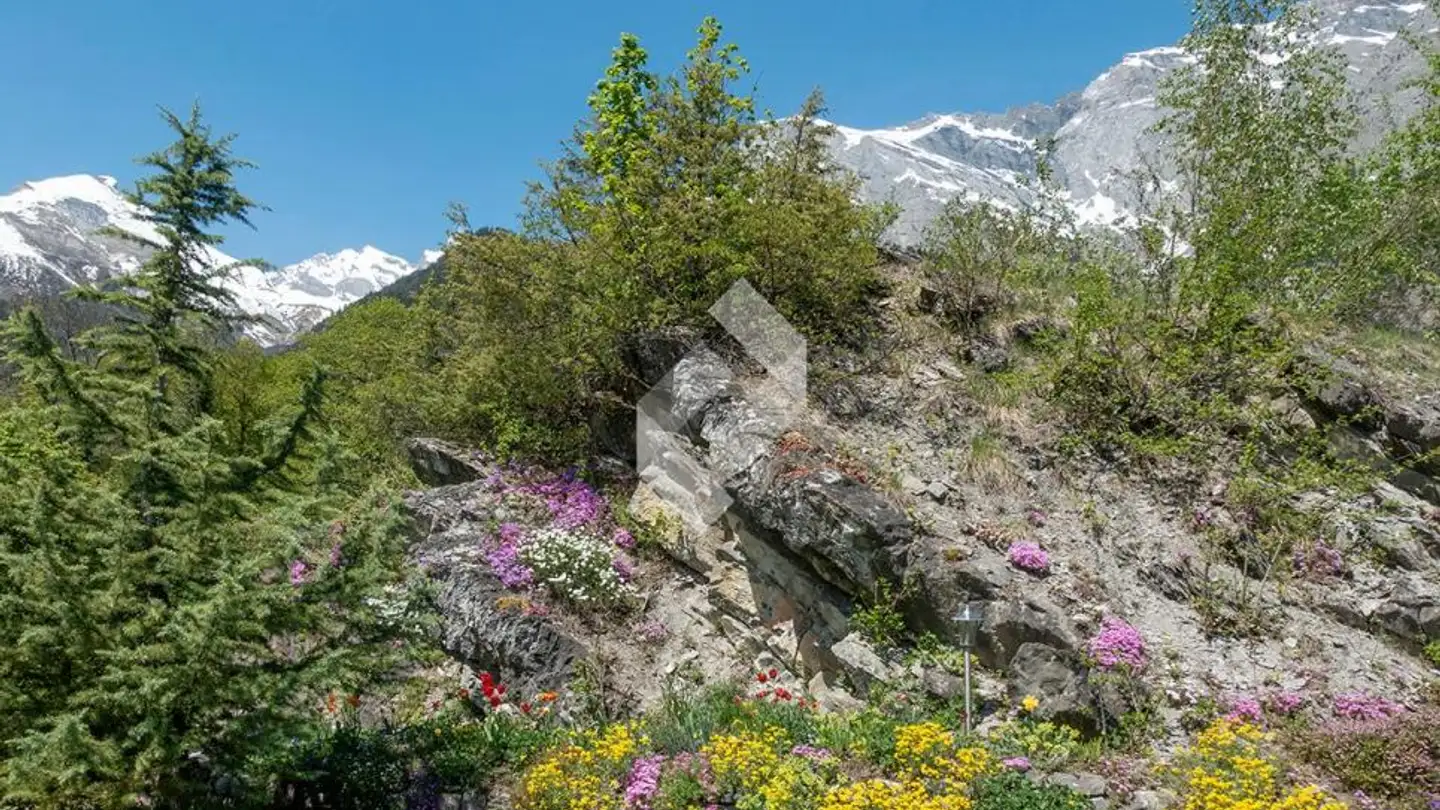 Villa à vendre - 1955 Chamoson - Photo 3