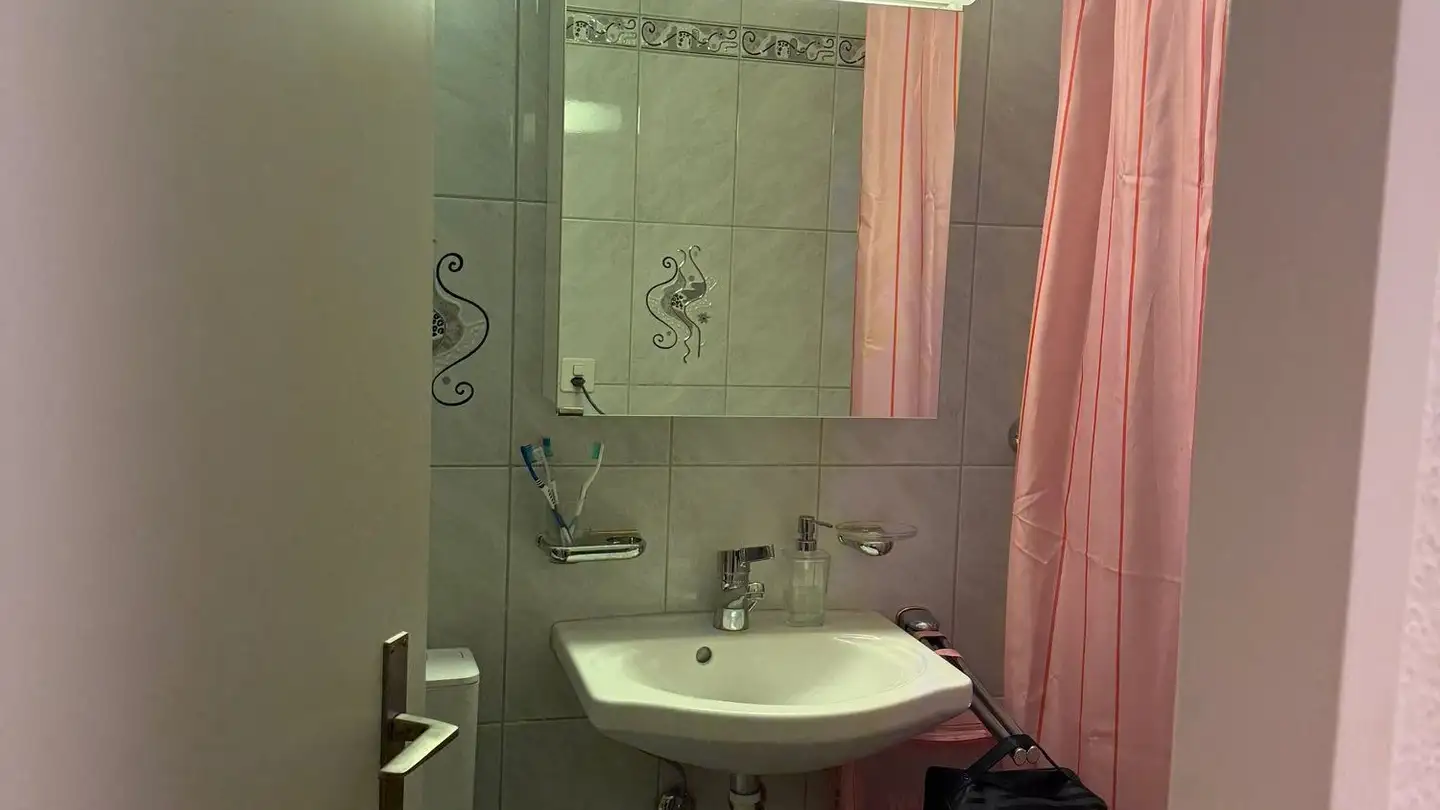 Möblierte Wohnung mieten - Adlikerstrasse 79, 8105 Regensdorf - Foto 4