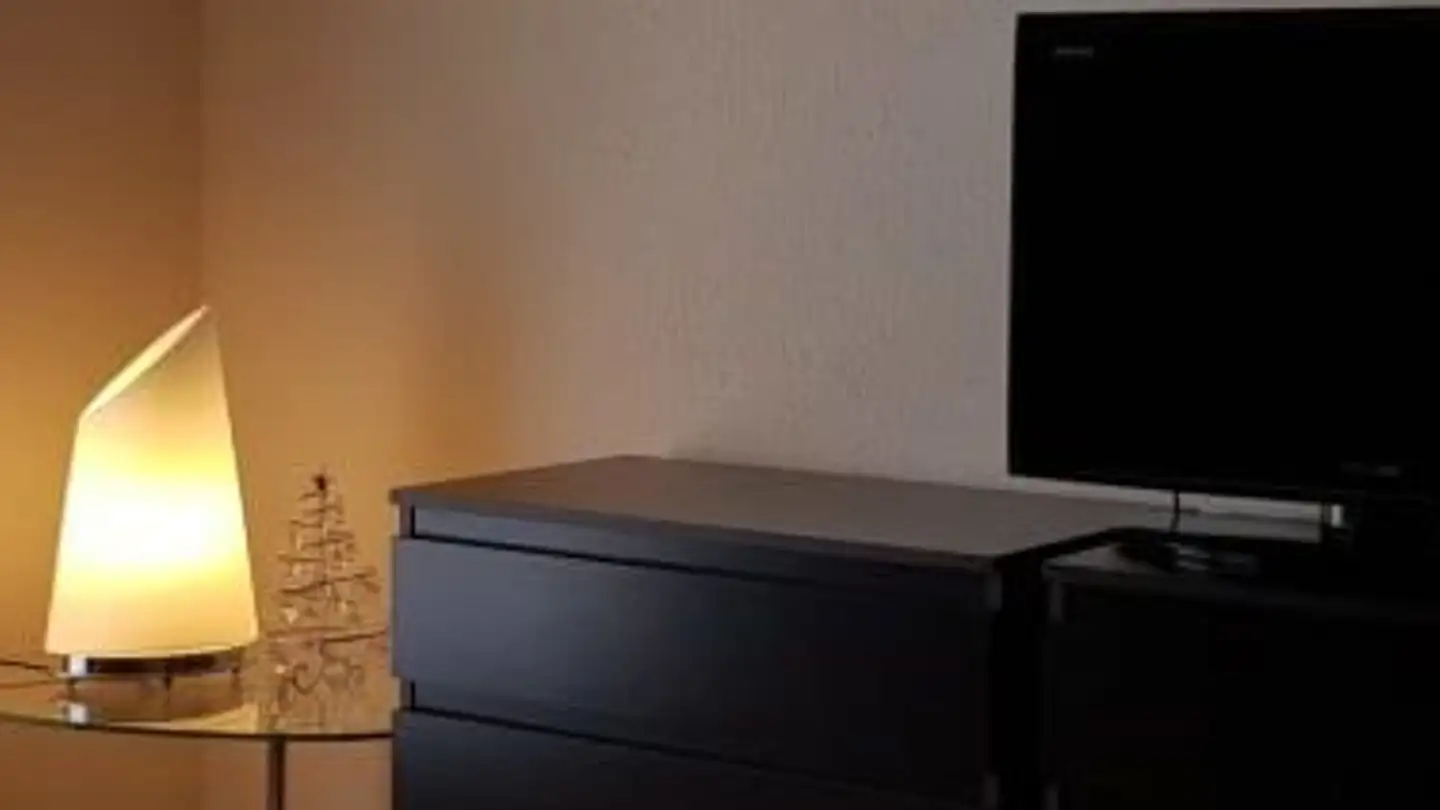 Furnished apartment for rent - Dahlienweg 8, 5330 Bad Zurzach - Photo 3