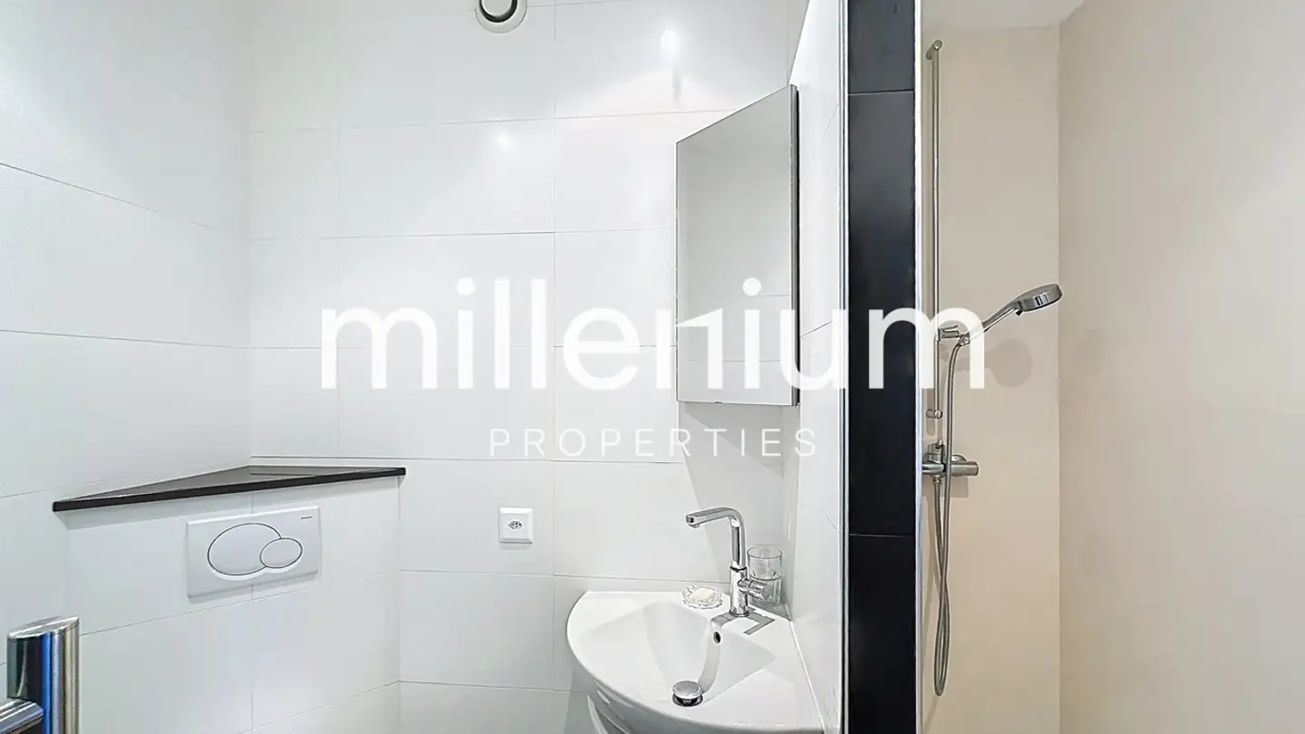 Appartamento in affitto - Rue Rousseau, 1201 Genève - Foto 3