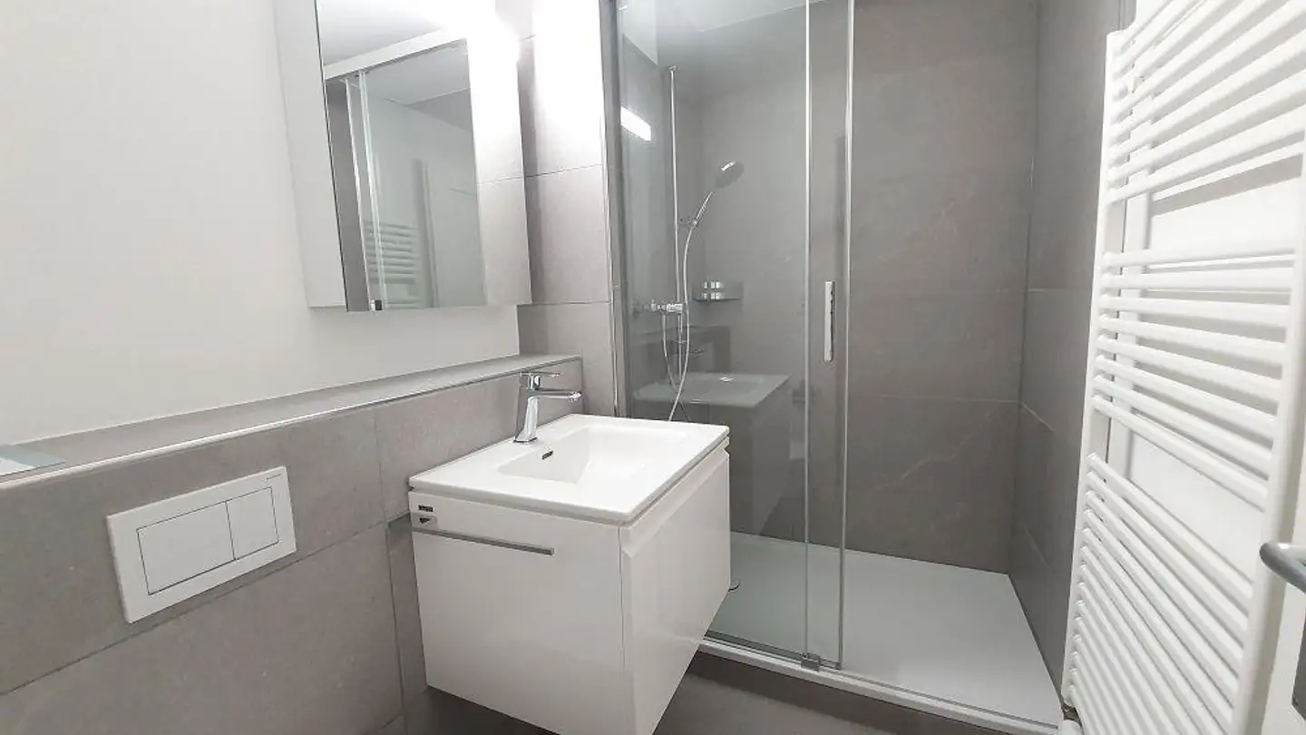 Apartment for rent - Plattenweg 19, 8200 Schaffhausen - Photo 4