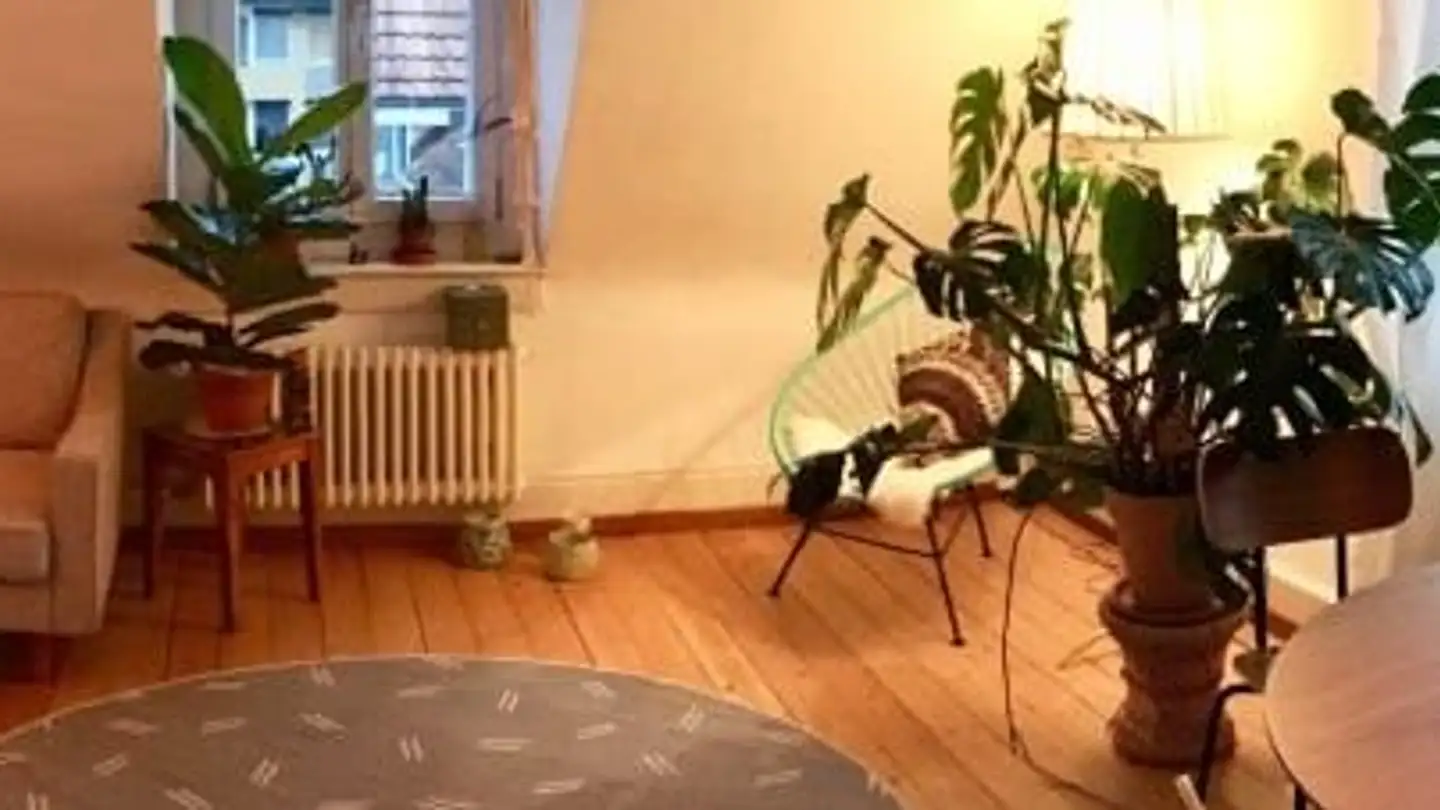 Wohnung mieten - Neudorfstrasse 52, 8810 Horgen