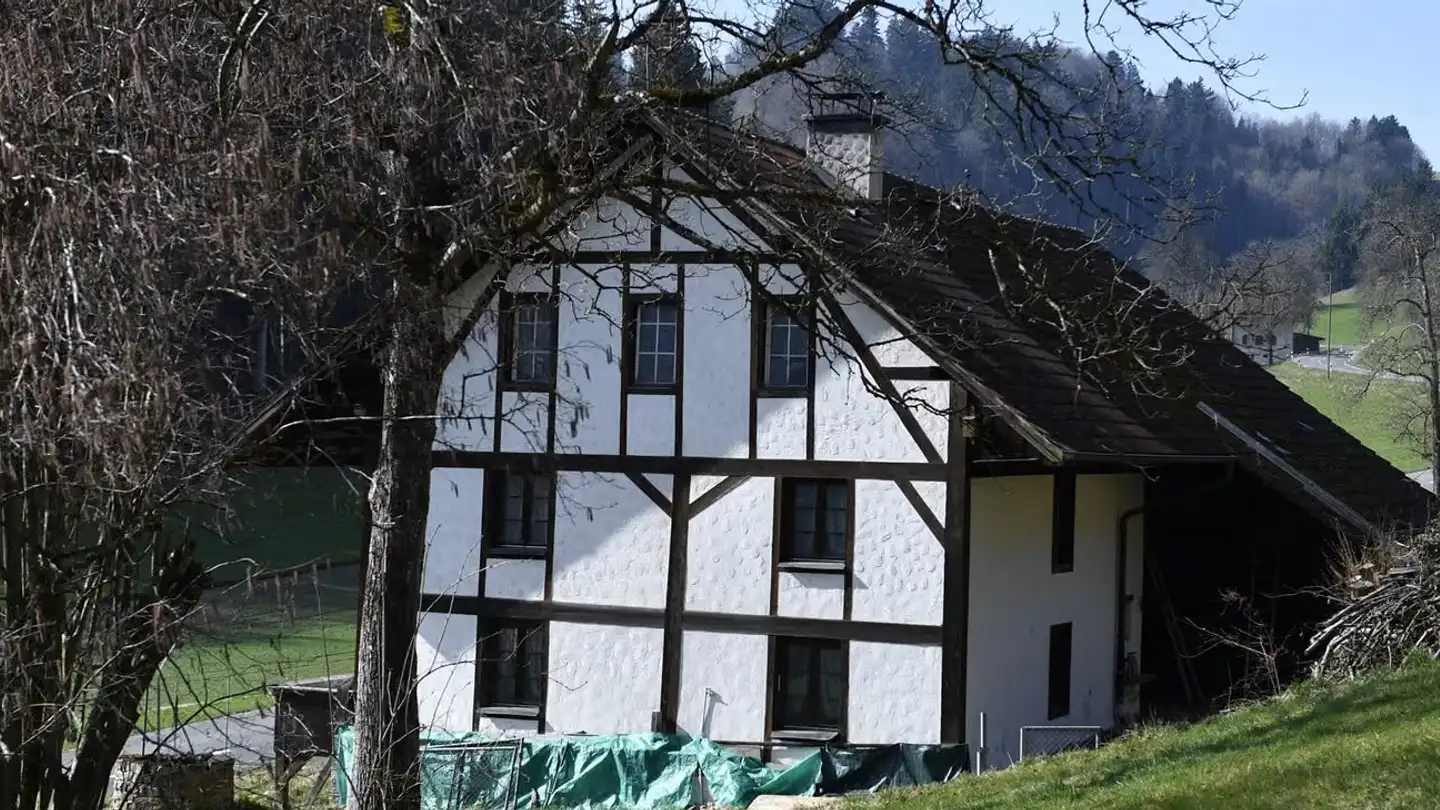 Farm for sale - Böhlerstrasse 54, 5726 Unterkulm