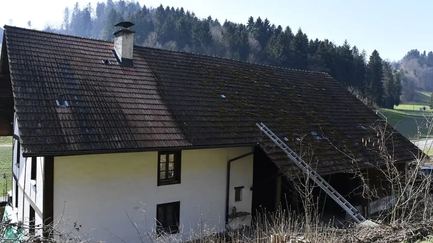 Farm for sale - Böhlerstrasse 54, 5726 Unterkulm - Photo 4