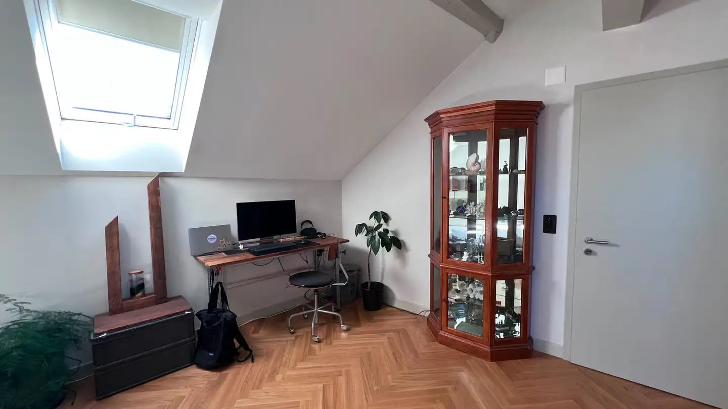 Chambre à louer - Steinberggasse 52, 8400 Winterthur - Photo 3