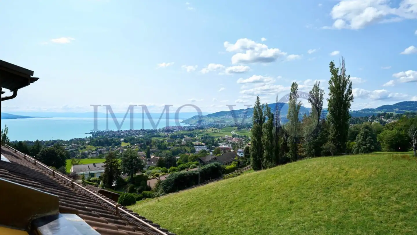 Attique à vendre - 1822 Chernex