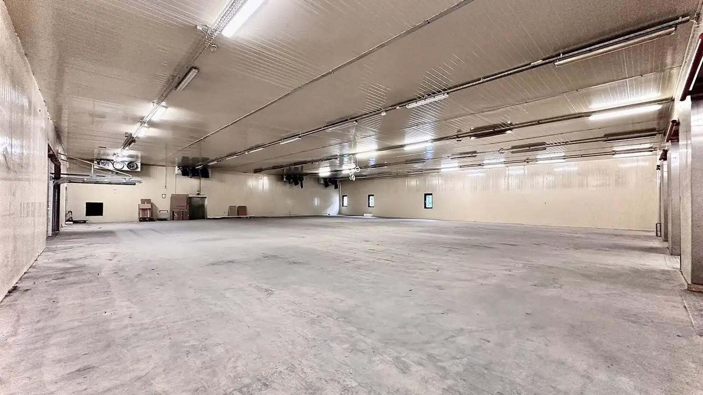 Commercial for rent - 1023 Crissier