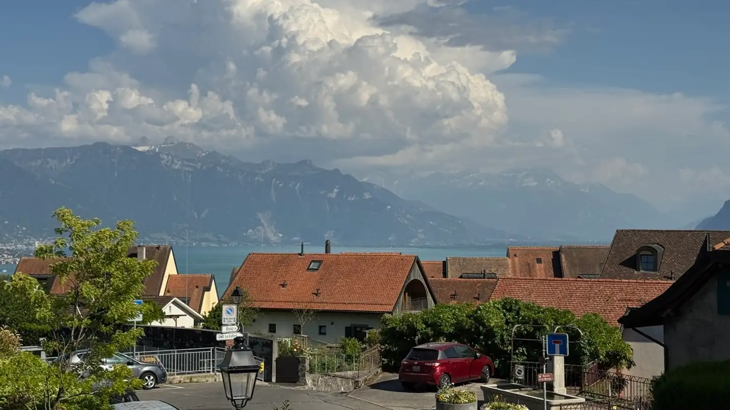 Wohnung mieten - Rue Du Carroz 4, 1071 Chexbres