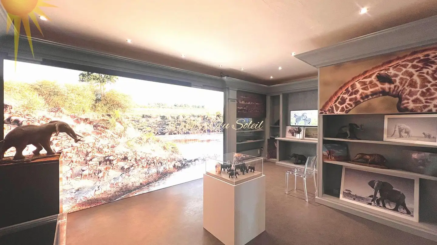 Magasin à vendre - 3963 Crans-Montana