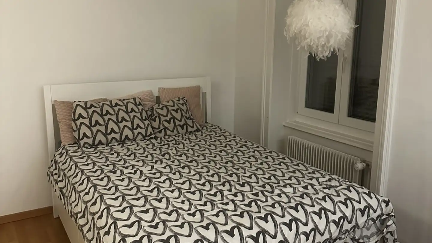 Appartamento in affitto - Hopfenstrasse, 8045 Zürich - Foto 2