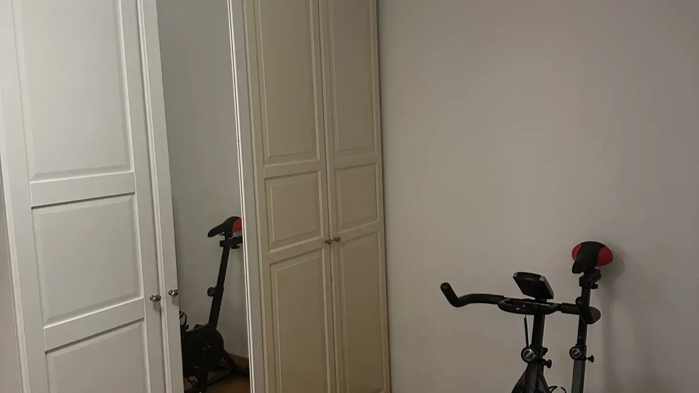 Appartamento in affitto - Hopfenstrasse, 8045 Zürich - Foto 3