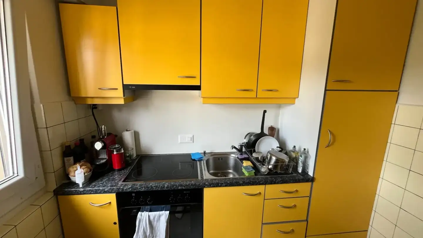 Appartamento in affitto - Chemin Des Allières, 1012 Lausanne - Foto 4