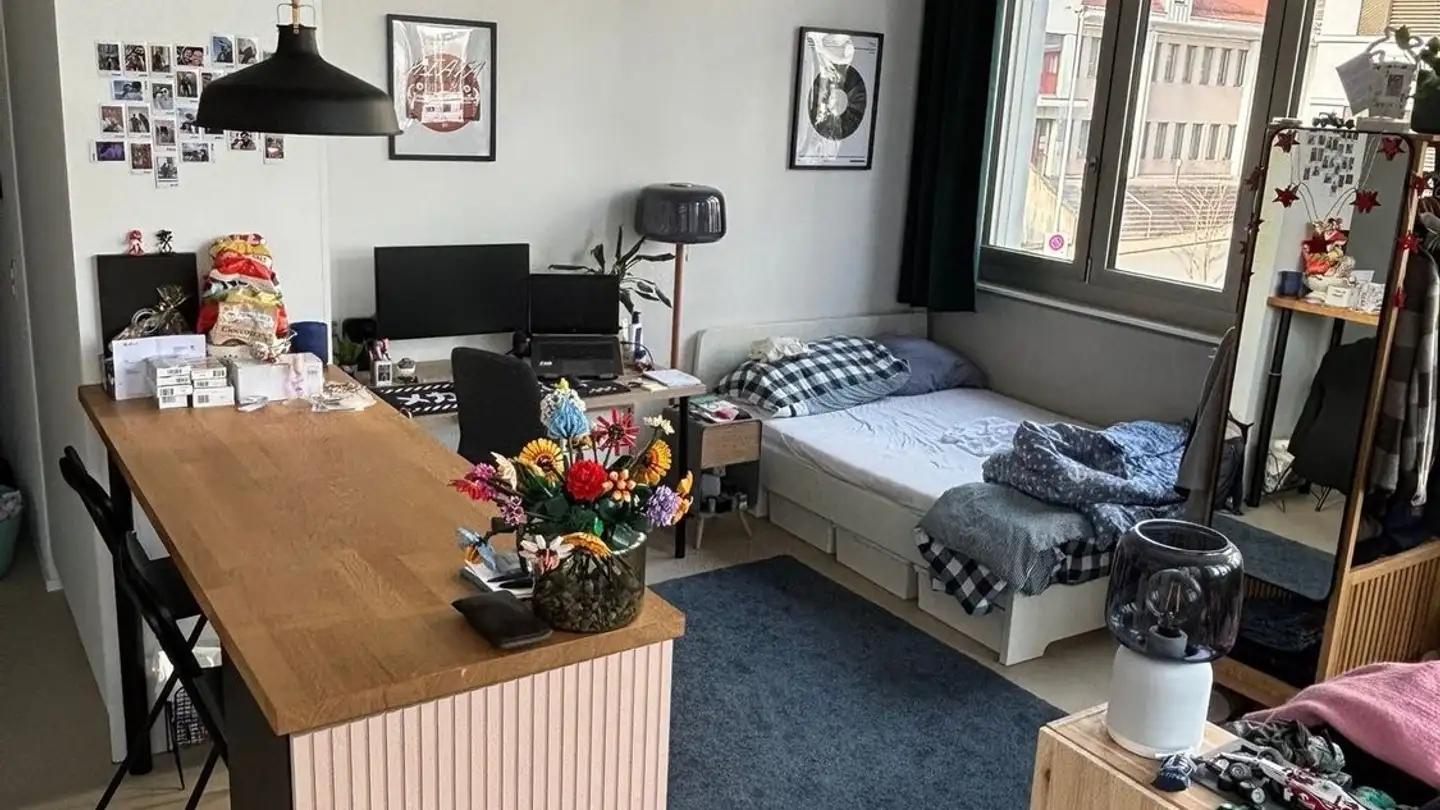 Appartamento in affitto - 8620 Wetzikon ZH