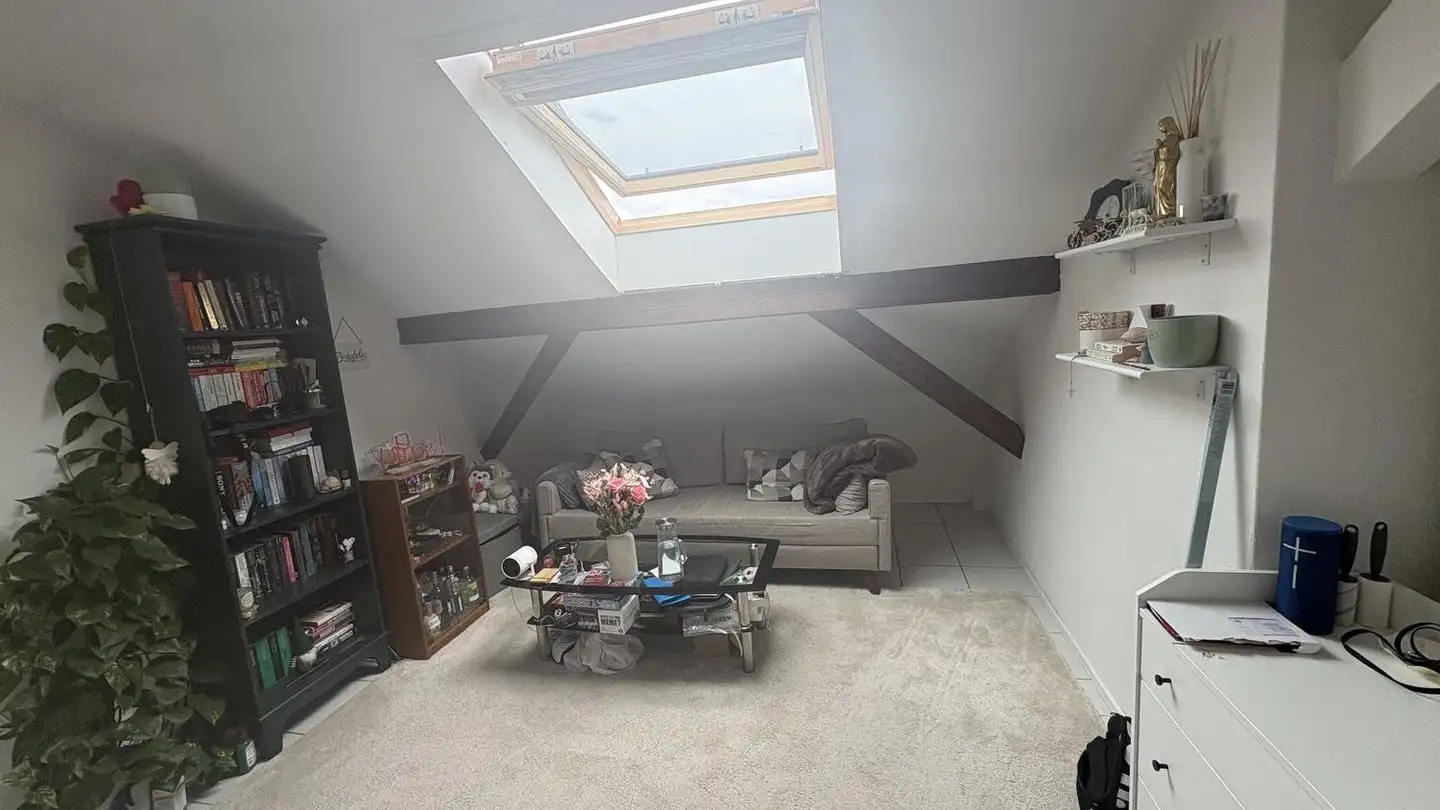 Appartamento in affitto - 8953 Dietikon