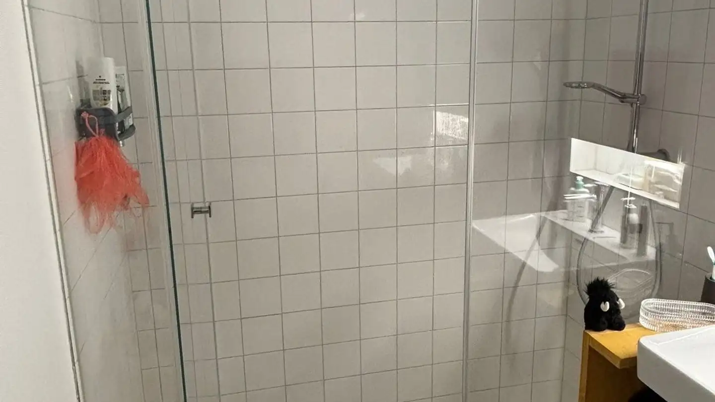 Appartamento in affitto - 8620 Wetzikon ZH - Foto 4