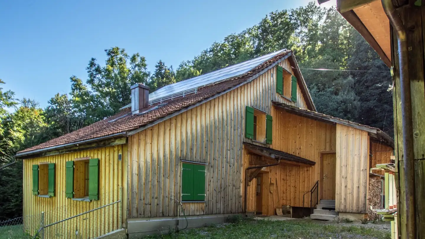 Single house for sale - Bergstrasse, 9475 Sevelen