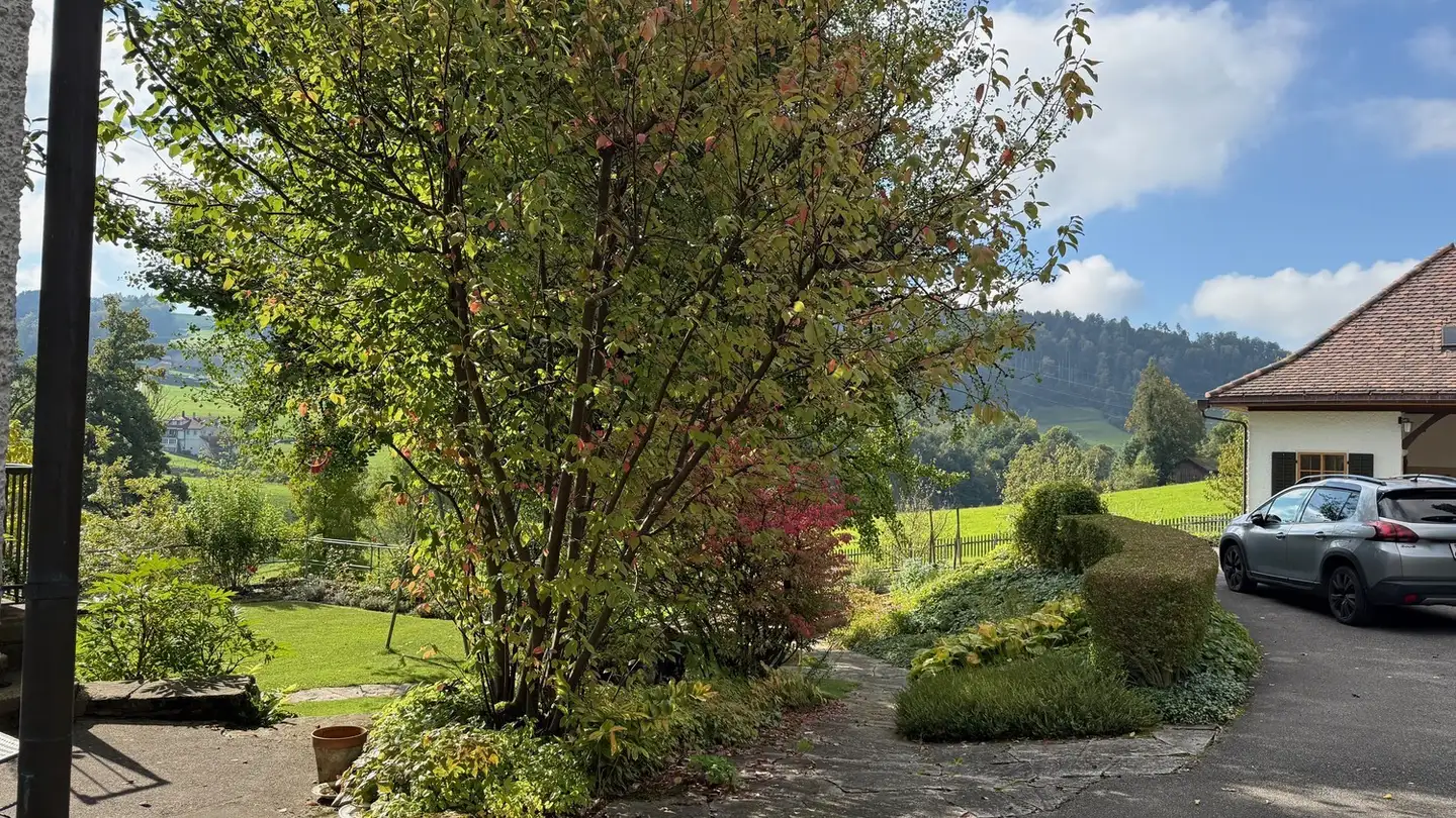 Appartamento in affitto - 8636 Wald ZH - Foto 2