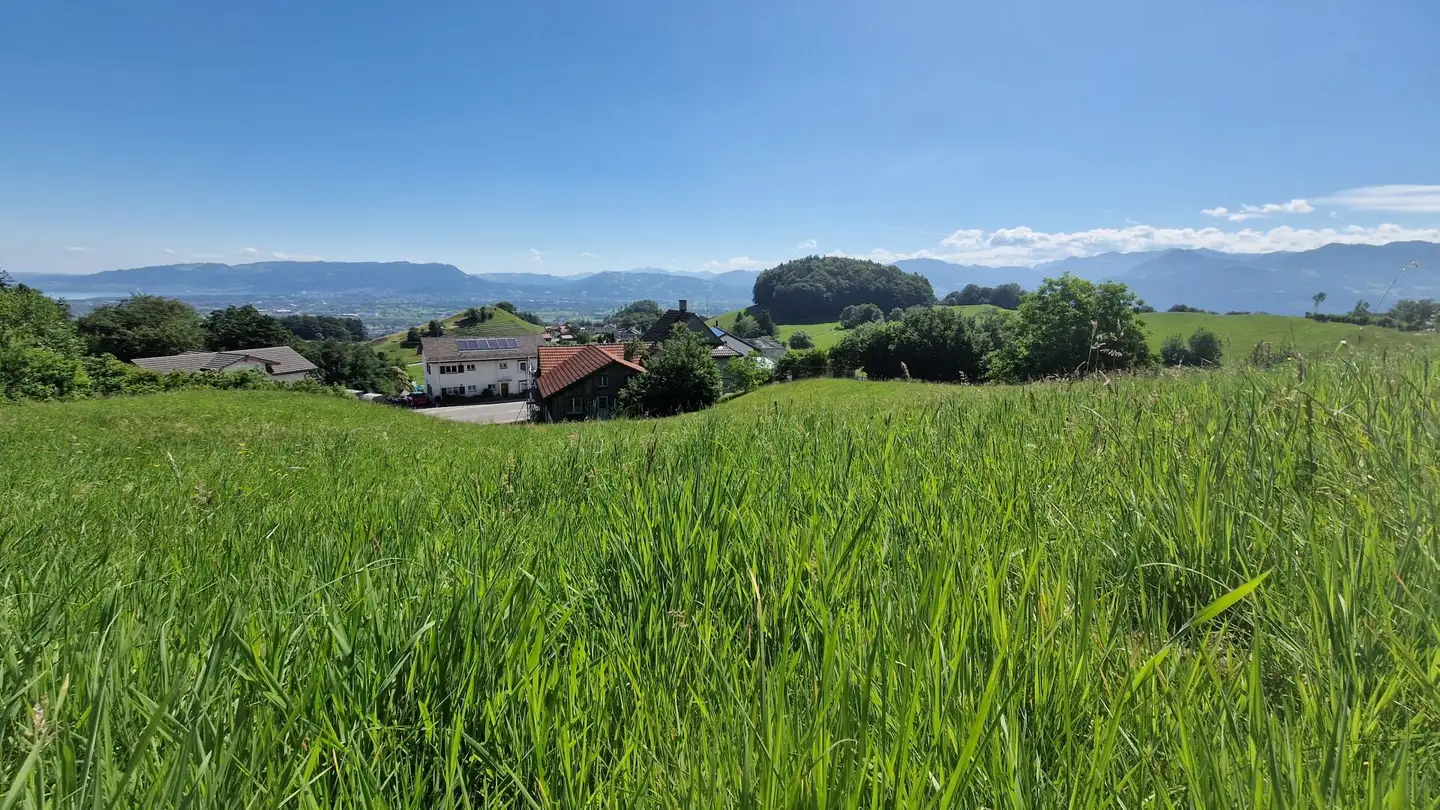 Terrain constructible à vendre - Wilen 388, 9428 Walzenhausen