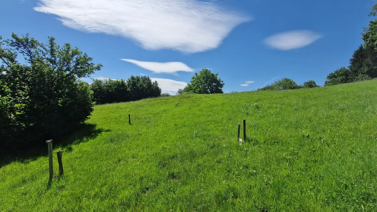 Terrain constructible à vendre - Wilen 388, 9428 Walzenhausen - Photo 4