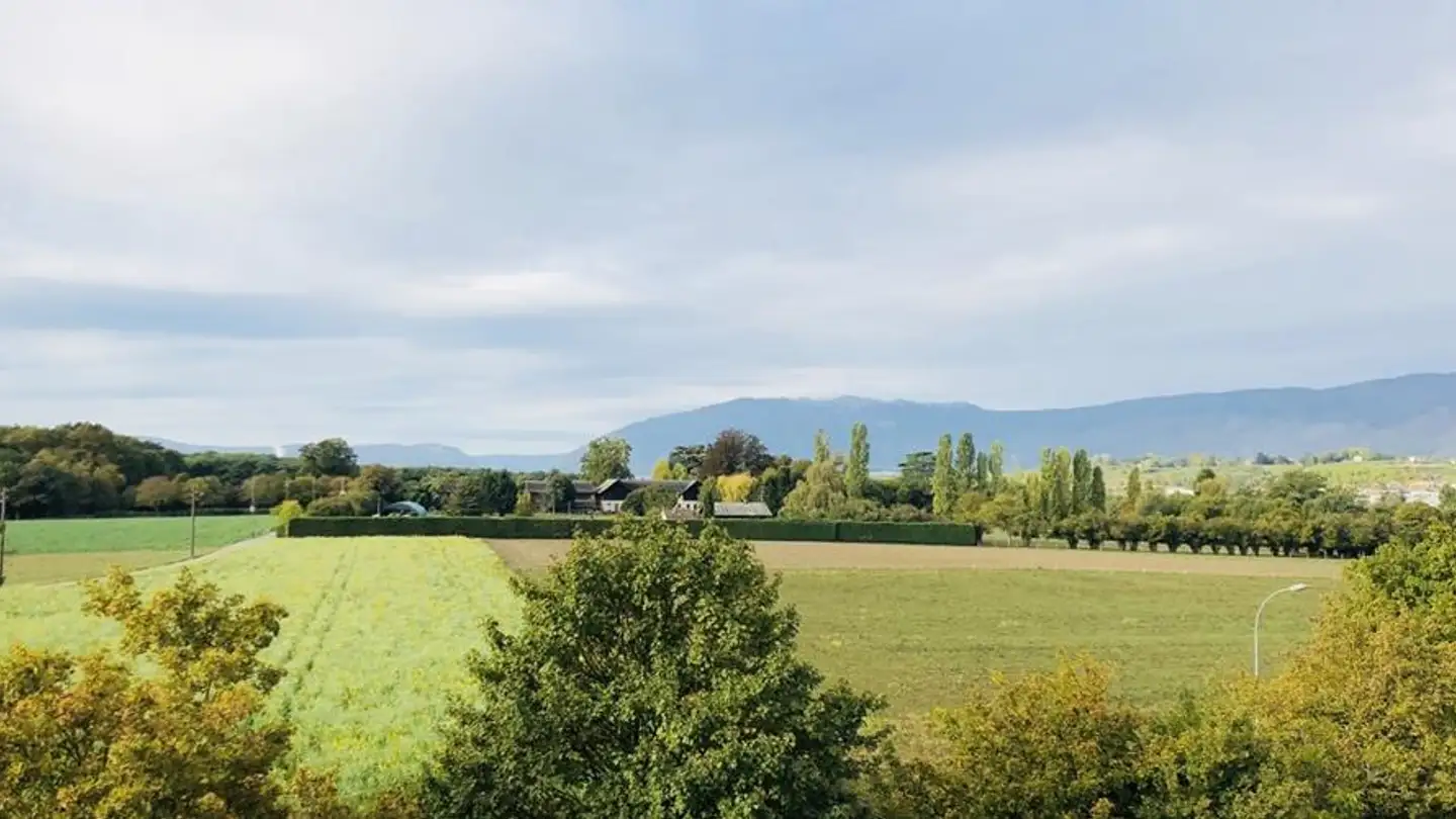 Bürofläche mieten - 1242 Satigny