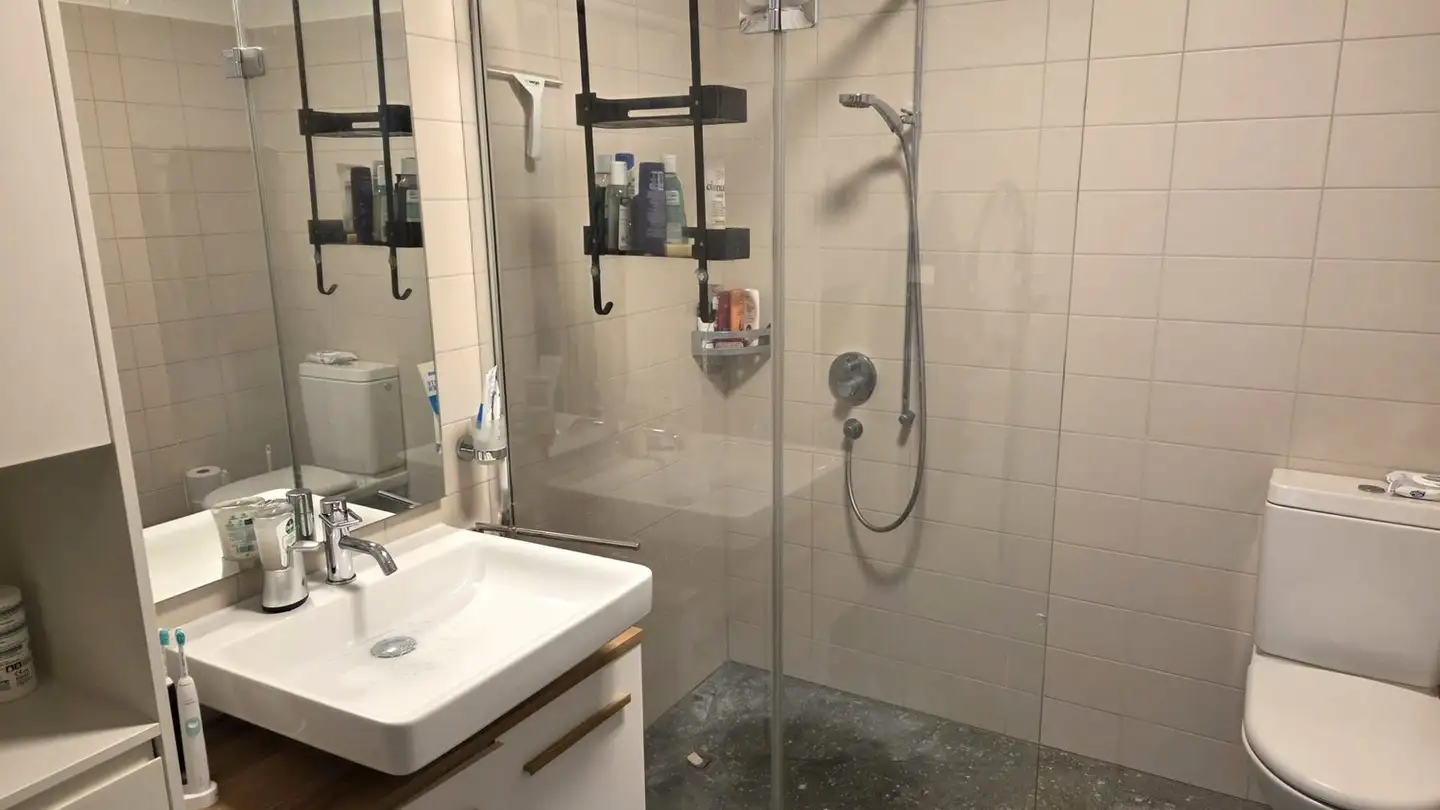 Wohnung mieten - Via Alpsu 66b, 7188 Sedrun - Foto 4