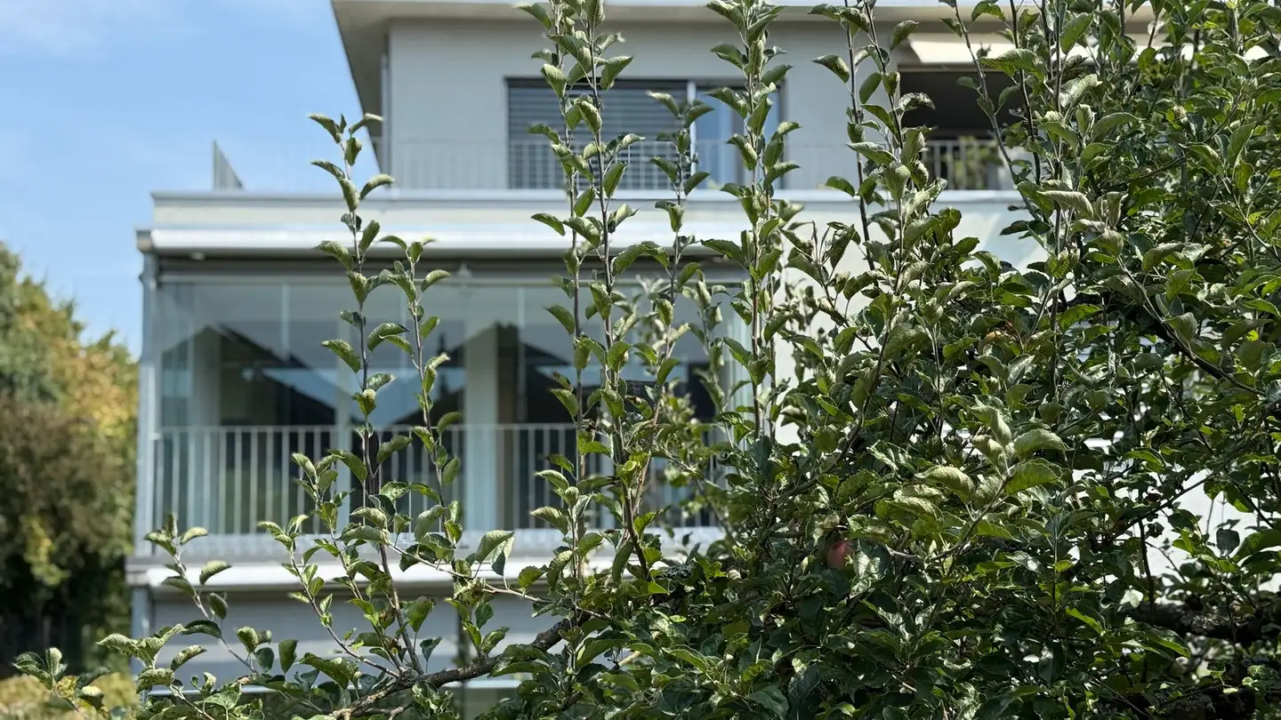 Apartment for sale - Kalchackerstrasse 20, 3047 Bremgarten b. Bern - Photo 2