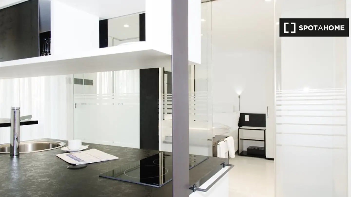 Studio à louer - 8105 Regensdorf