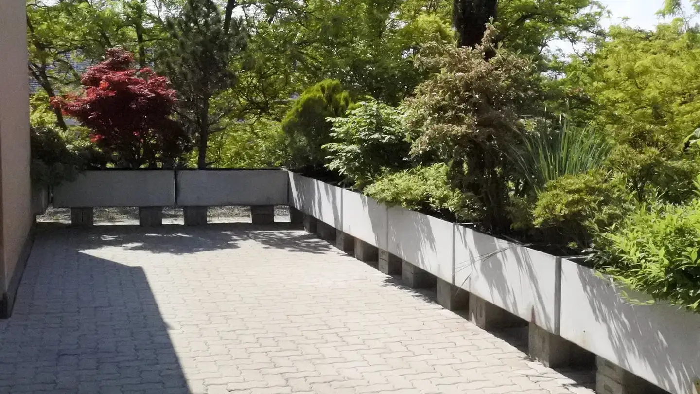 Appartement en terrasse à louer - Freiestrasse 4, 8952 Schlieren