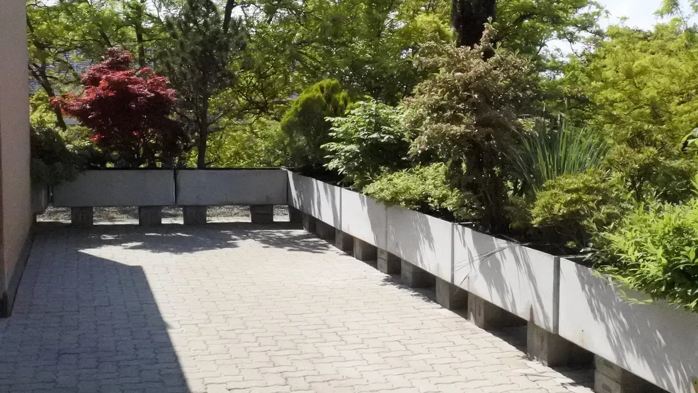 Appartement en terrasse à louer - Freiestrasse 4, 8952 Schlieren - Photo 2