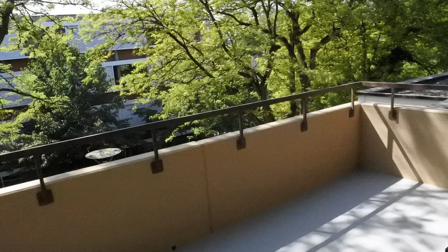 Appartement en terrasse à louer - Freiestrasse 4, 8952 Schlieren - Photo 4